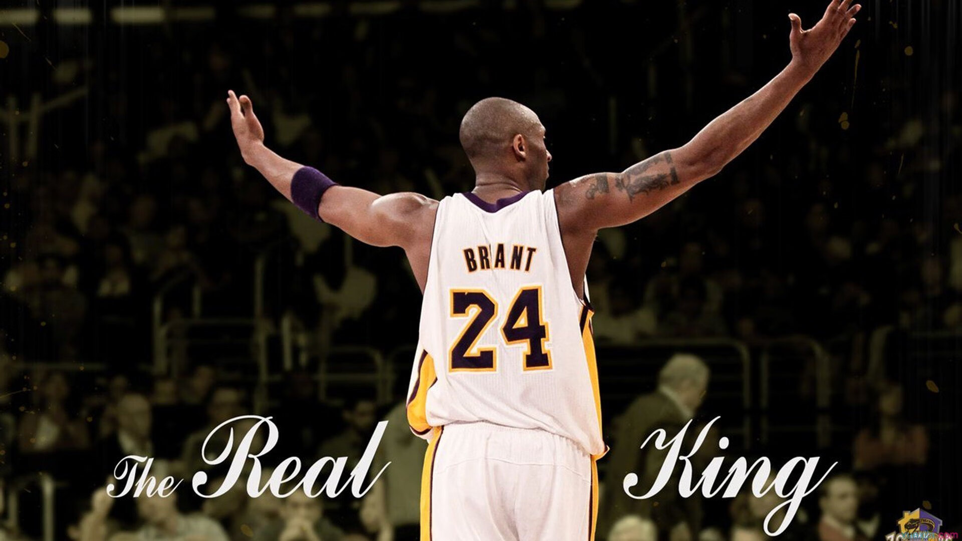 抢七大战惊心动魄，年轻新星力挽狂澜夺胜利|九游体育官网